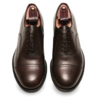 DiFu puntina filo testa di moro